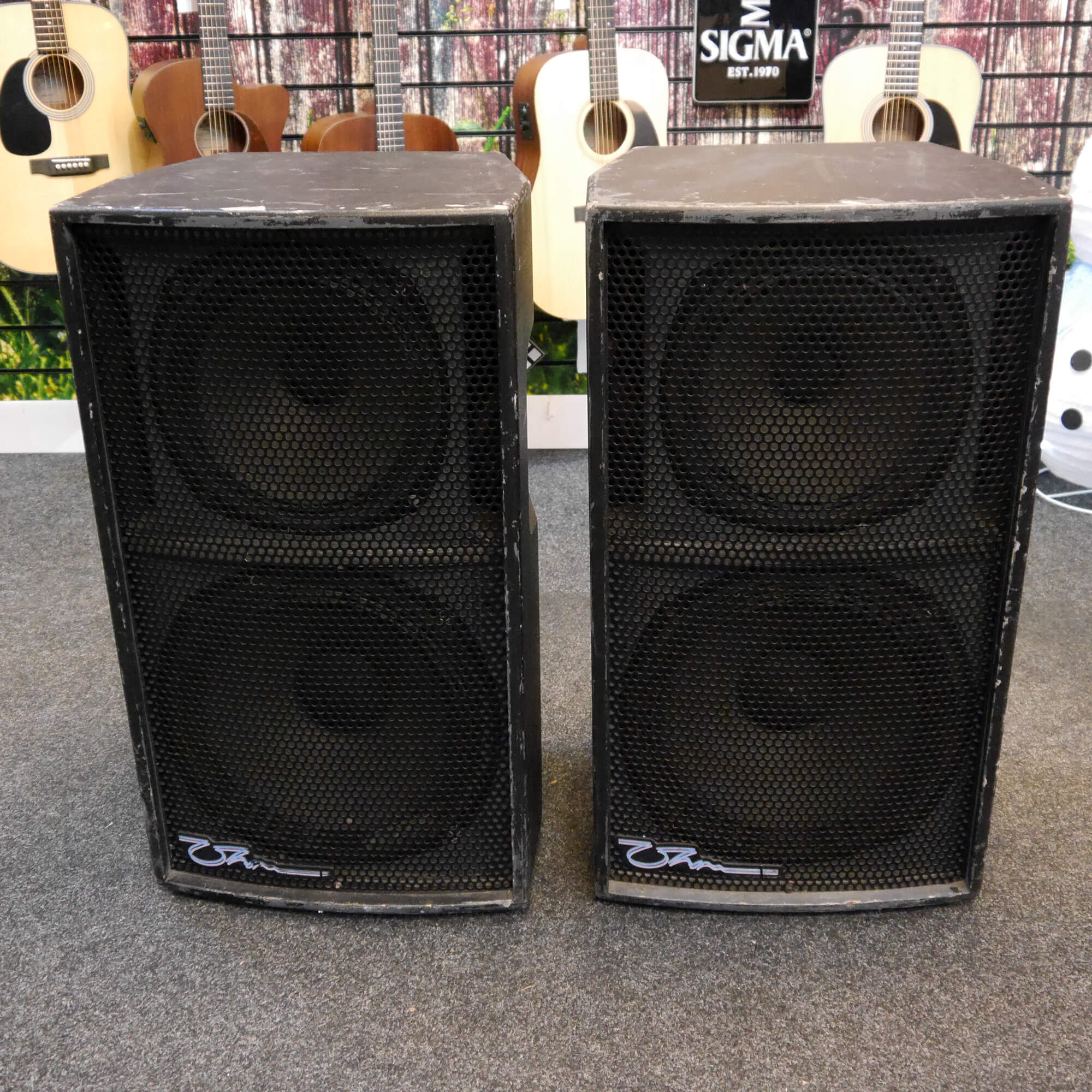 dual pa speakers