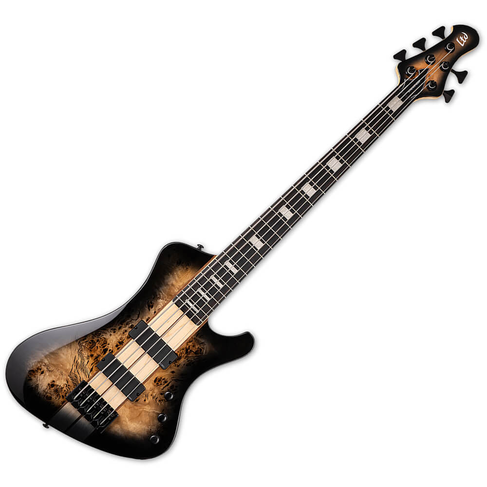 ESP LTD Bass Guitars | Rich Tone Music