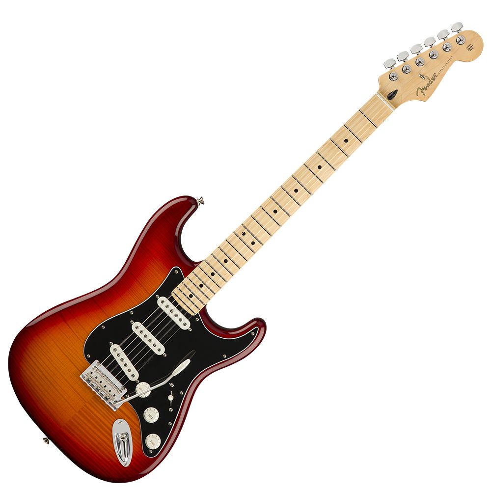 Fender Player Stratocaster Plus Top 買取査定 - animemesse-chemnitz.de