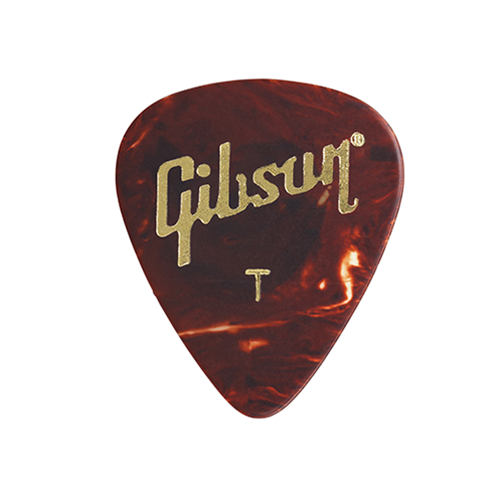 A Standard Guitar Pick