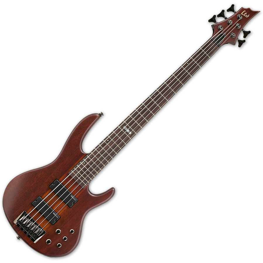 ESP LTD D-5 NS Bass Guitar | Rich Tone Music