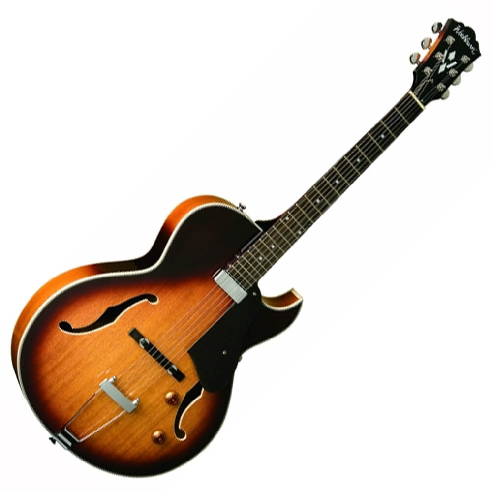 Washburn Double Cut Hollow Body Electric Guitars Rich Tone Music