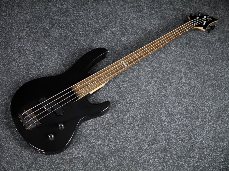 esp ltd b 10