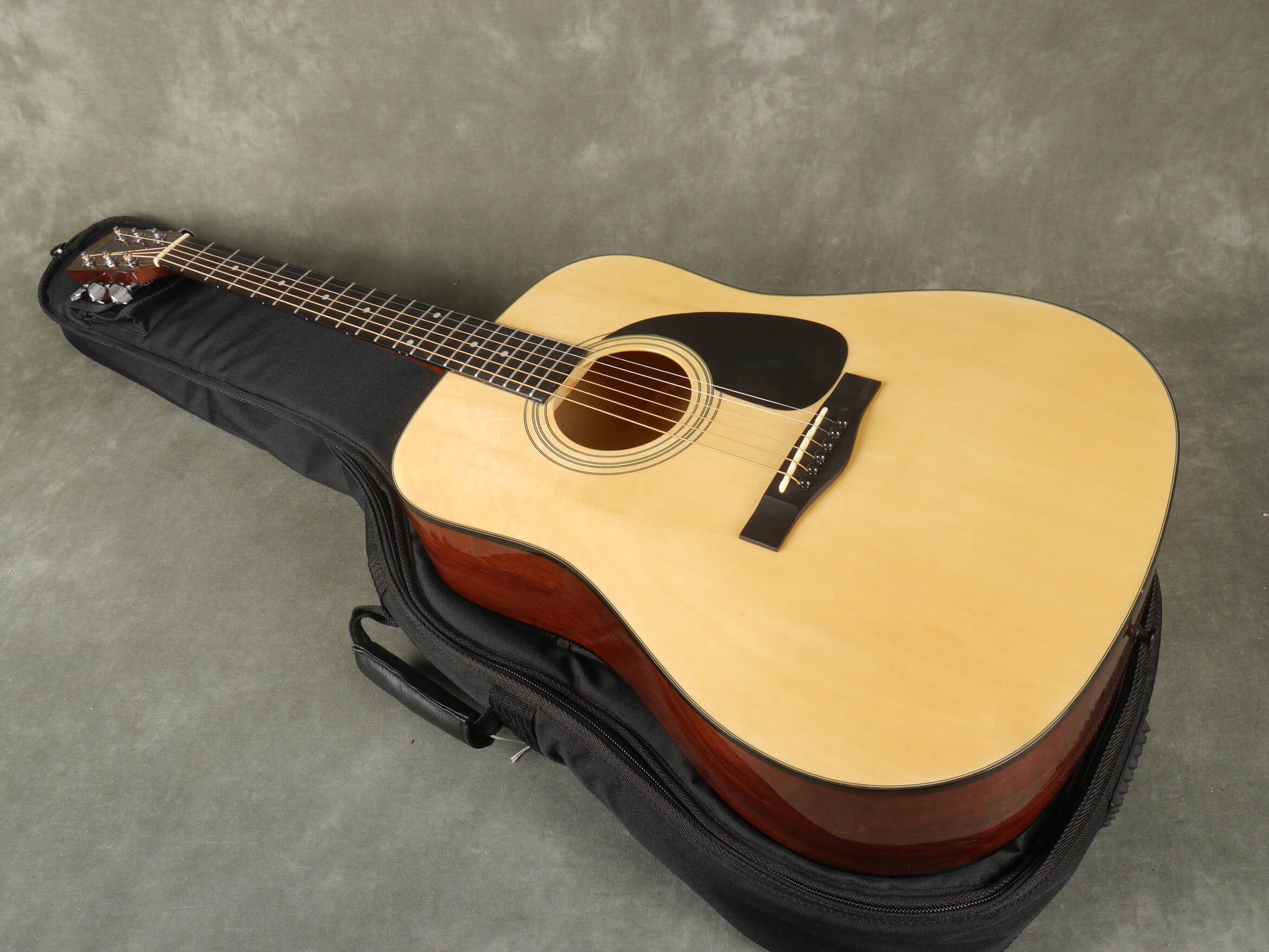 Fender DG5 Acoustic Guitar Natural w/Gig Bag 2nd Hand Rich Tone