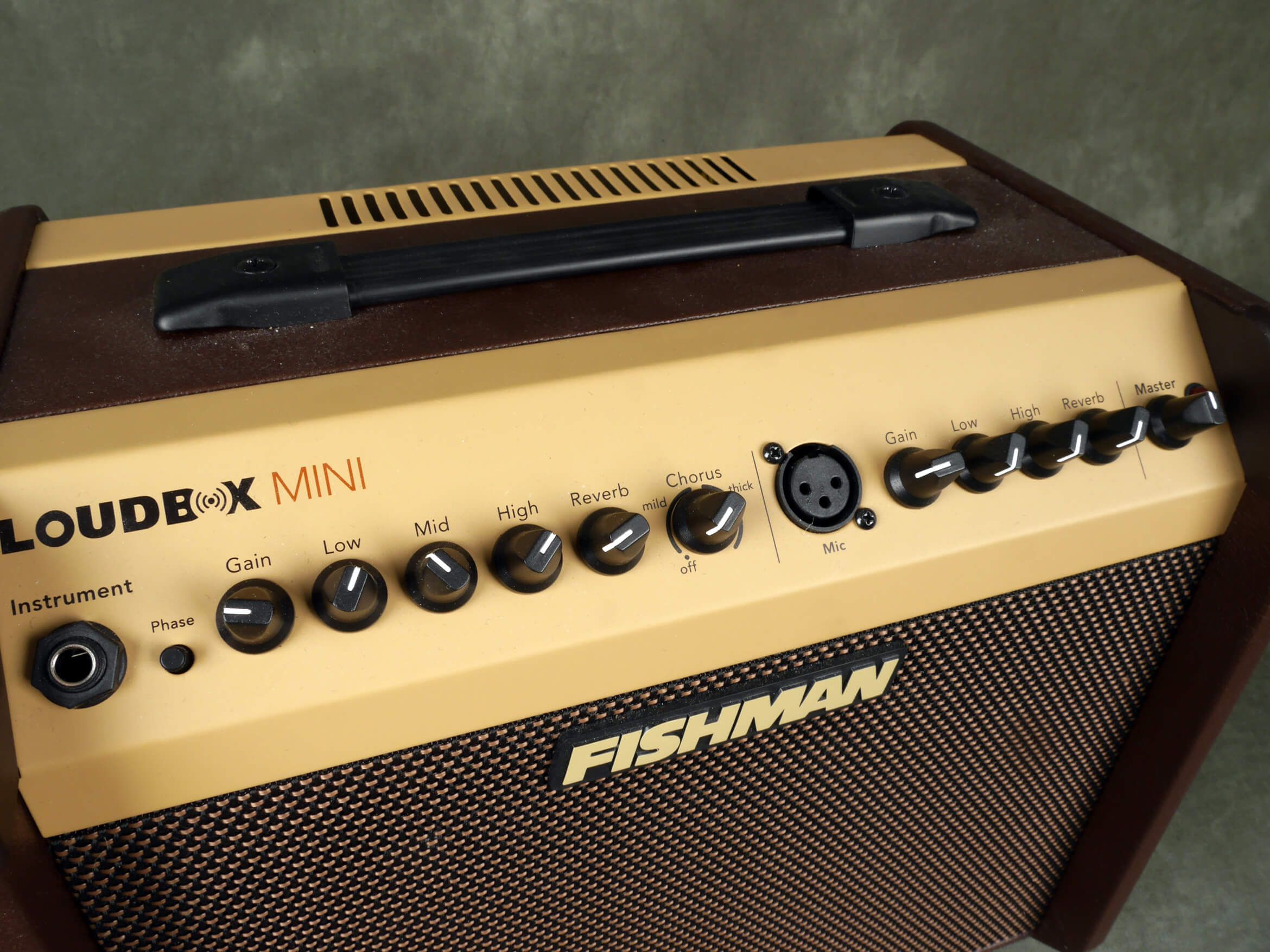 Fishman Loudbox Mini Acoustic Amplifier w/Box & PSU 2nd Hand Rich