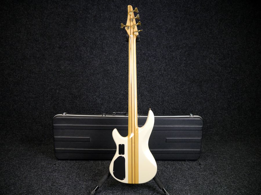 Samick Artist Series 5 String Electric Bass Burst w/ Hard Case 2nd