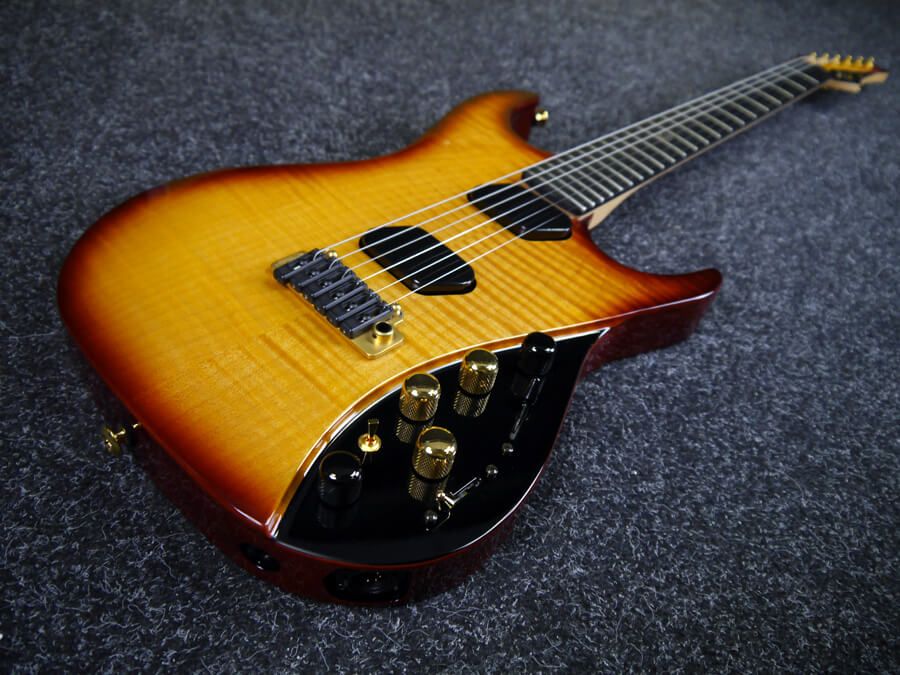 The Moog Guitar Paul Vo Collectors Edition USA w/Hard Case 2nd