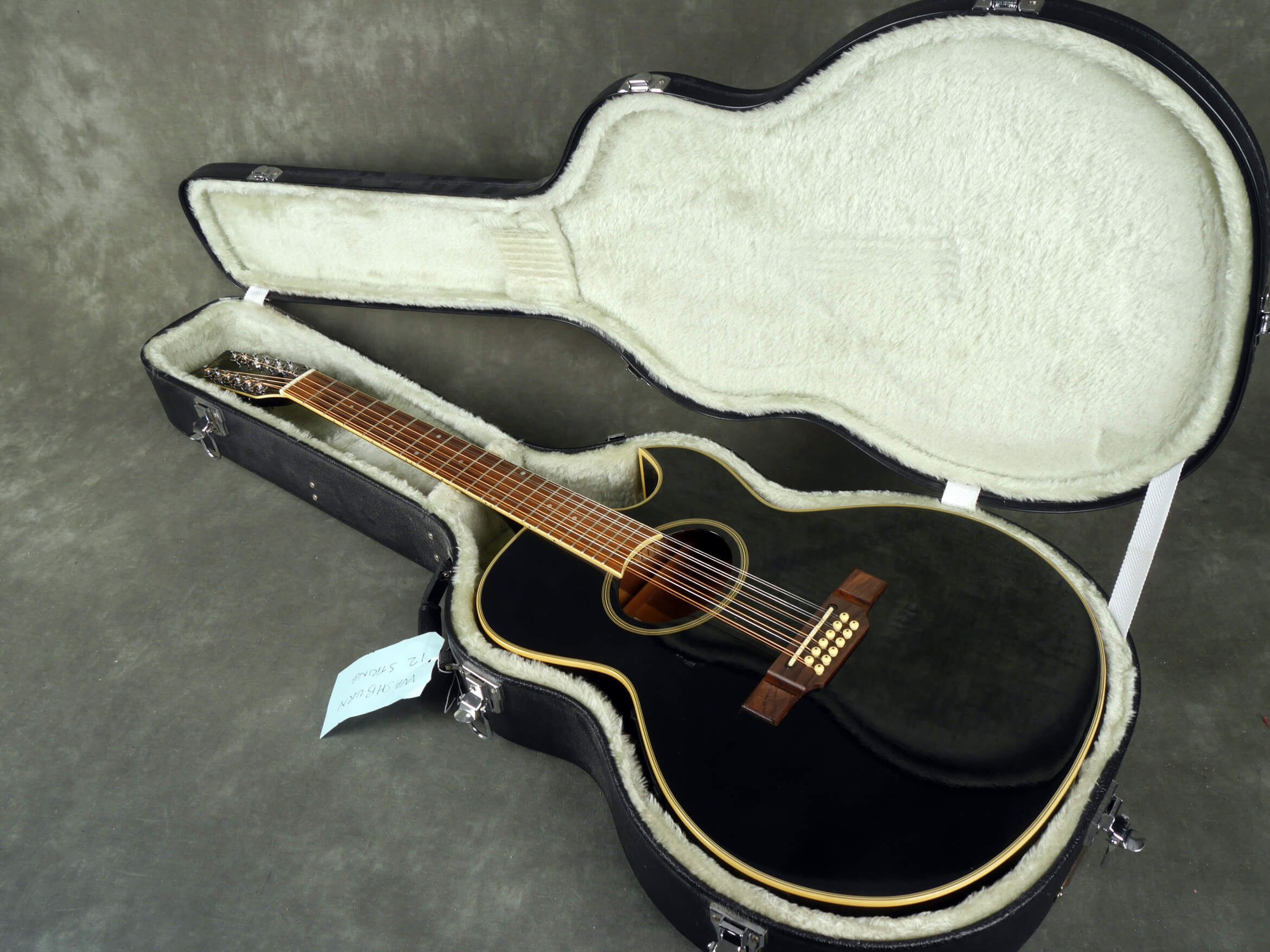 Washburn MIK EA20 12 String ElectroAcoustic Guitar Black w/Case