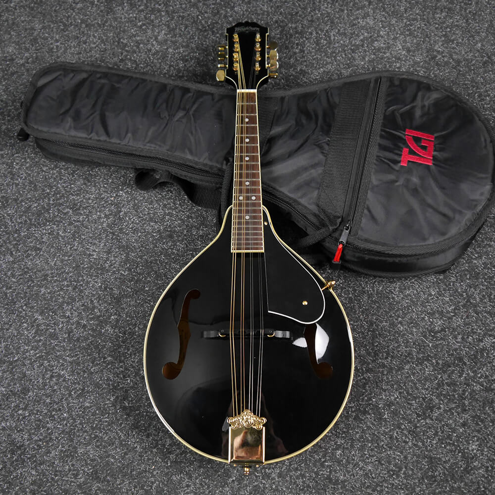 Washburn Mandolin Black w/Gig Bag 2nd Hand Rich Tone Music
