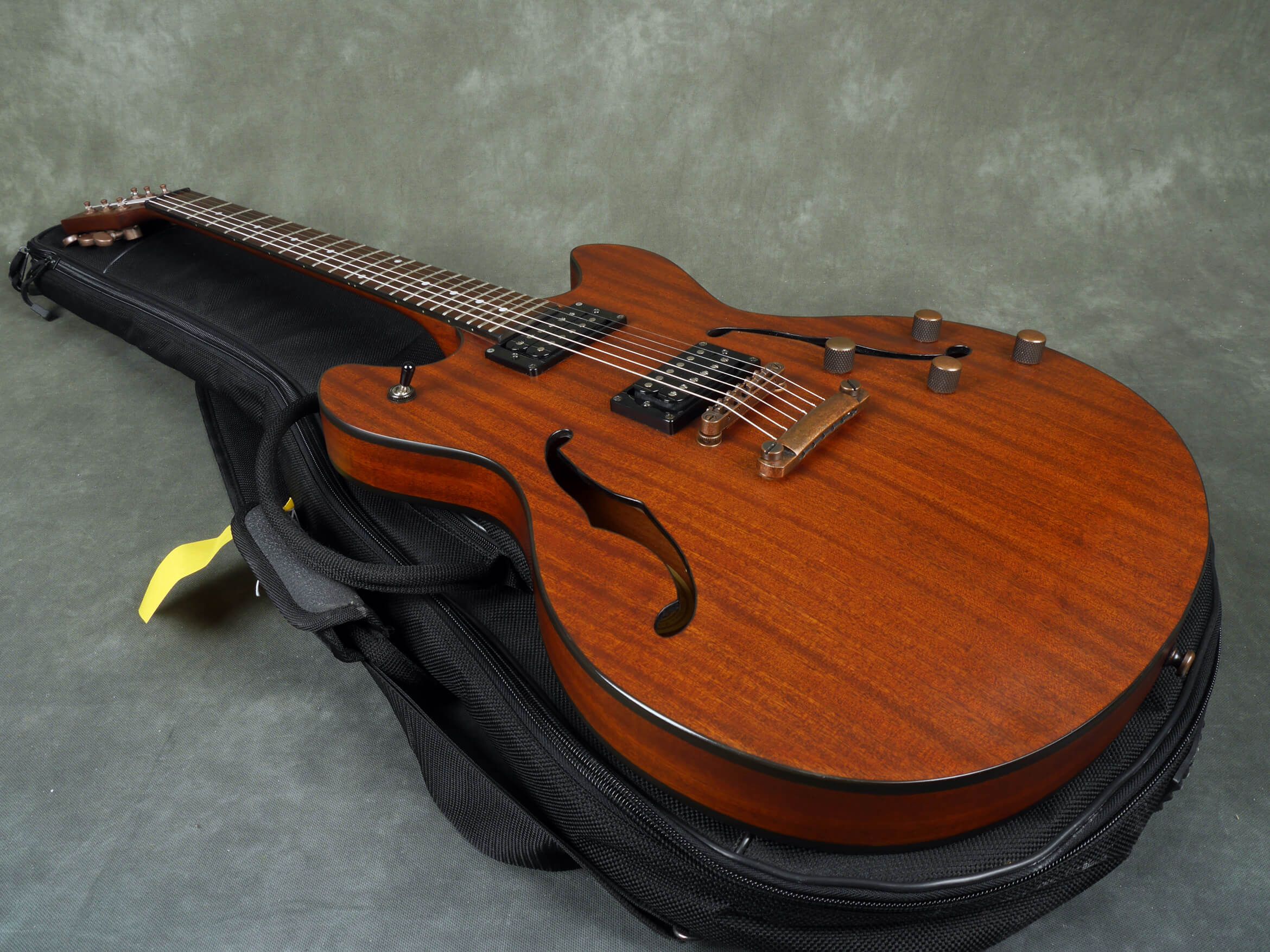 Washburn HB32DM Hollow Body Electric Guitar Distressed Matte w/Bag